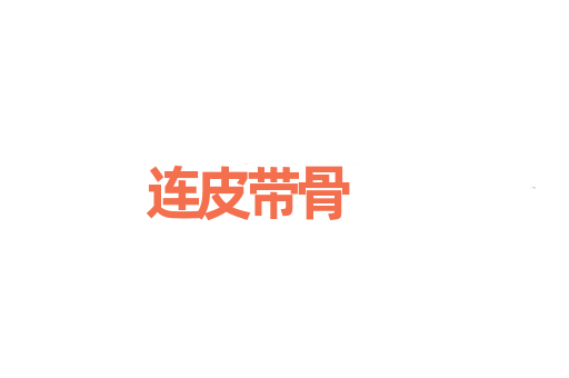 连皮带骨